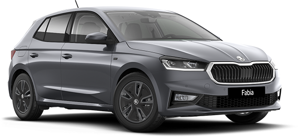 Skoda Fabia Auto-Abos