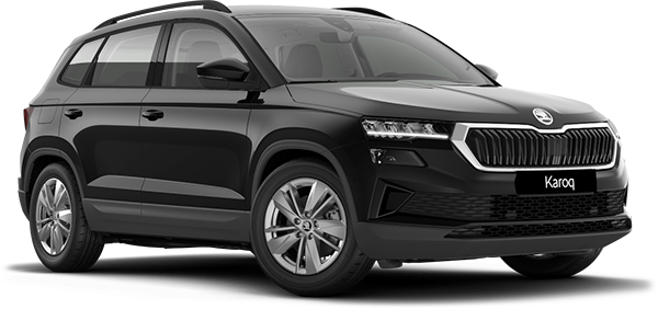 Skoda Karoq Auto-Abos