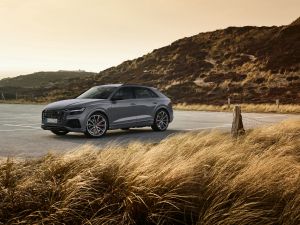 Audi Q8 (4M) Auto-Modelle