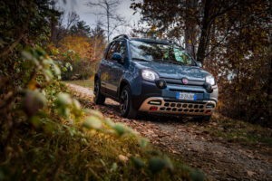 Fiat Panda Cross Vehicle Model